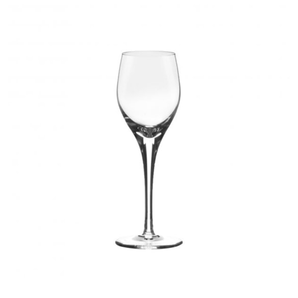 Jogo de Taças para Licor Strauss Potpourri Lisa 55 ml - 6 peças