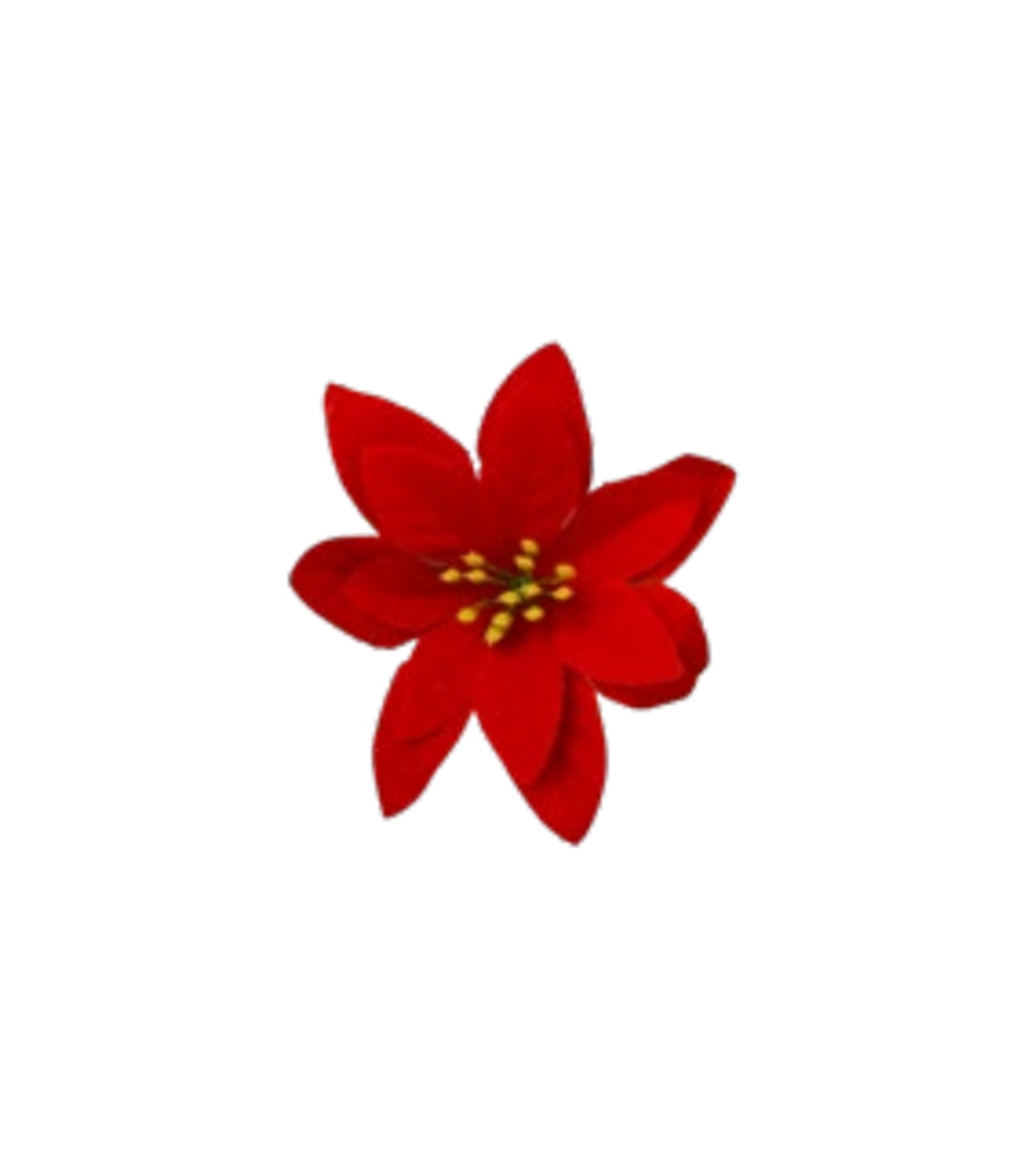 image_0