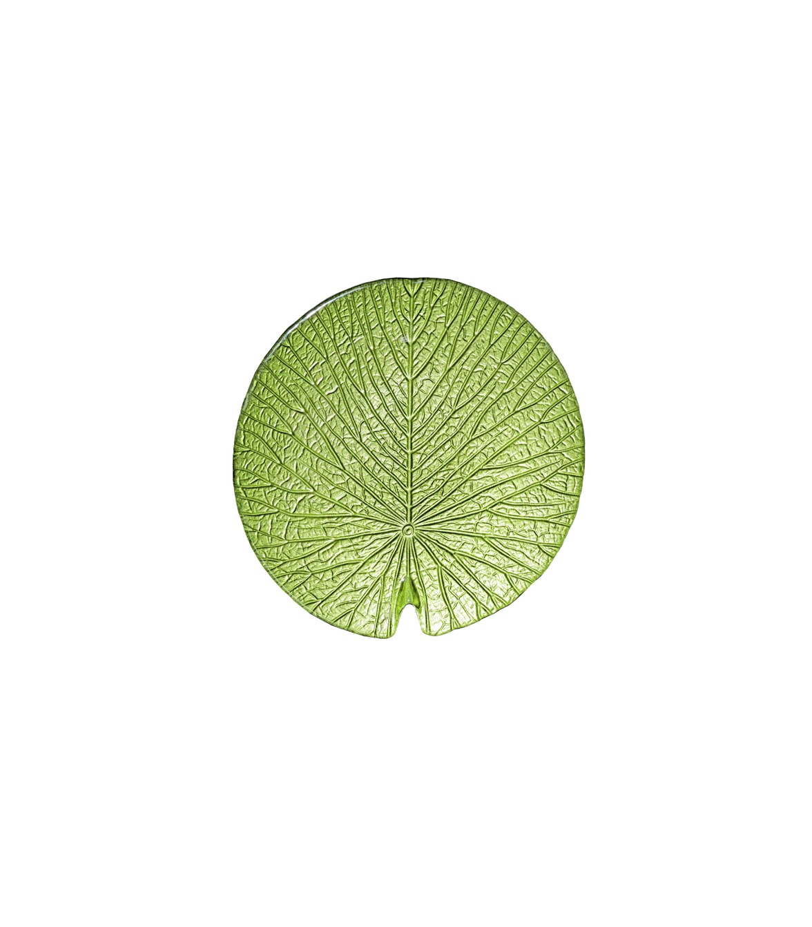 image_0