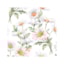 Guardanapo Ambiente Beautiful Daisies White 25 x 25 cm
