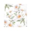 Guardanapo Ambiente Beautiful Daisies White 33 x 33 cm