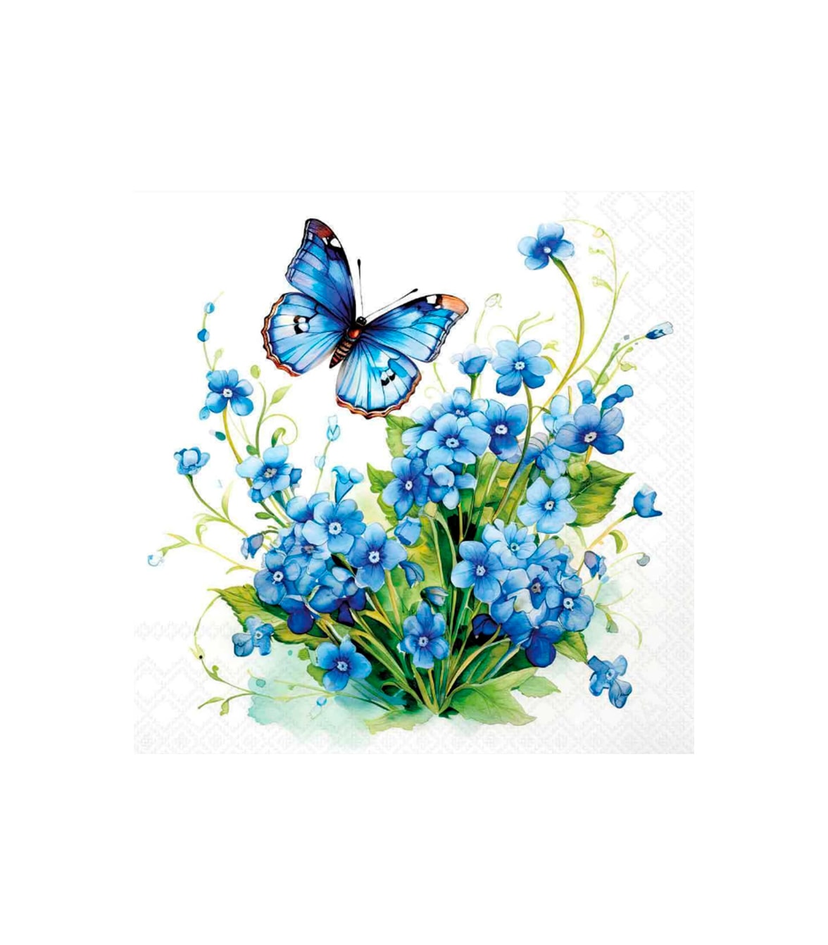 image_0