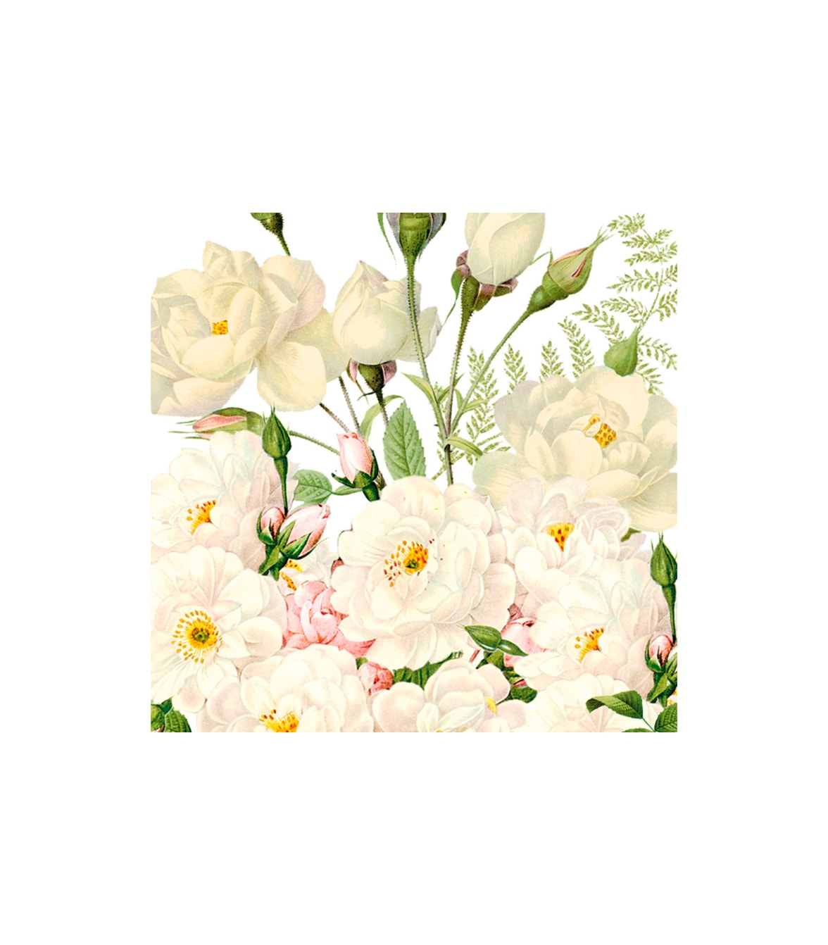image_0