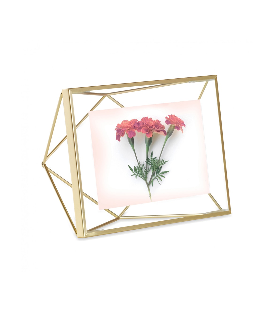 image_0