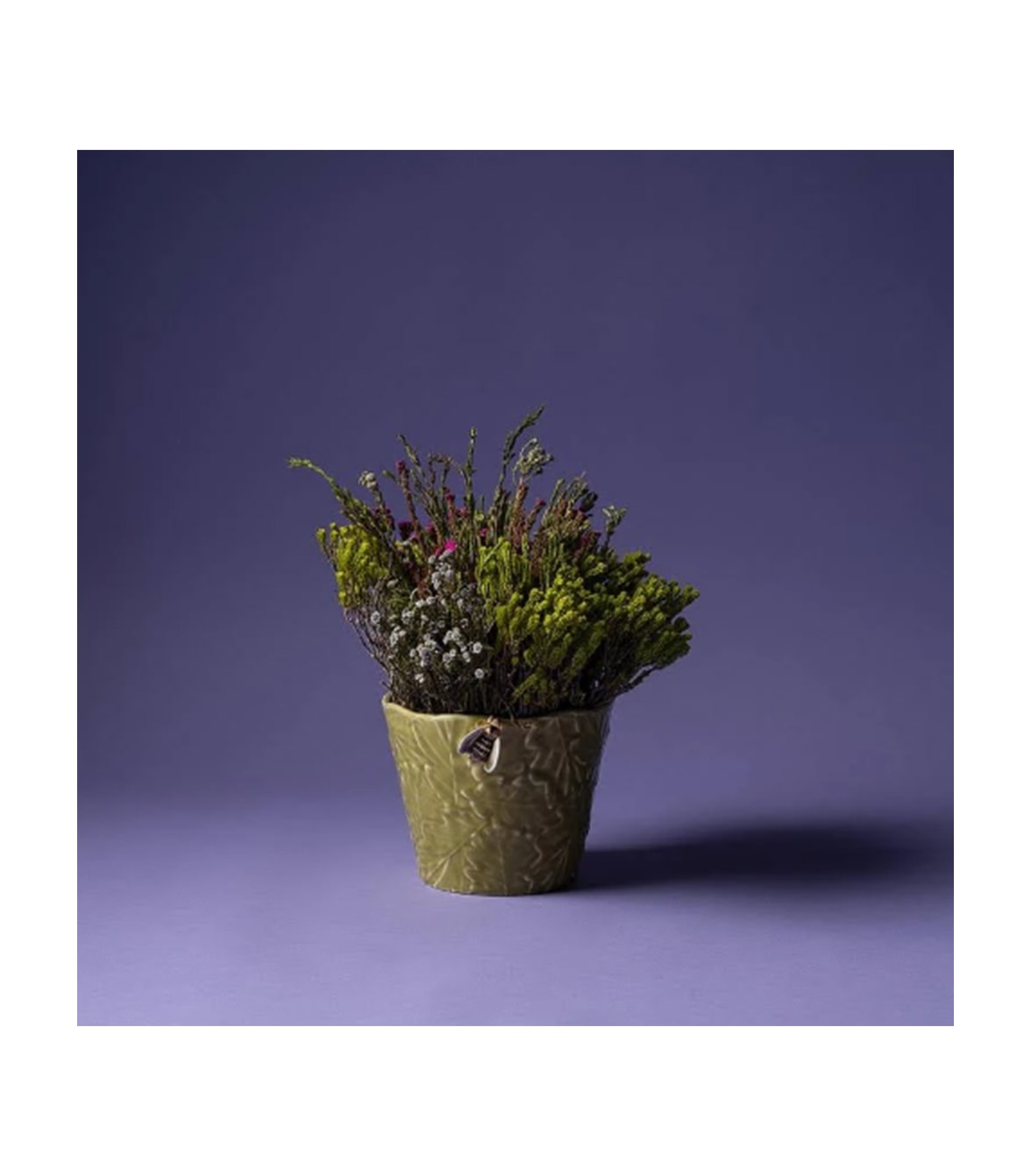 image_1
